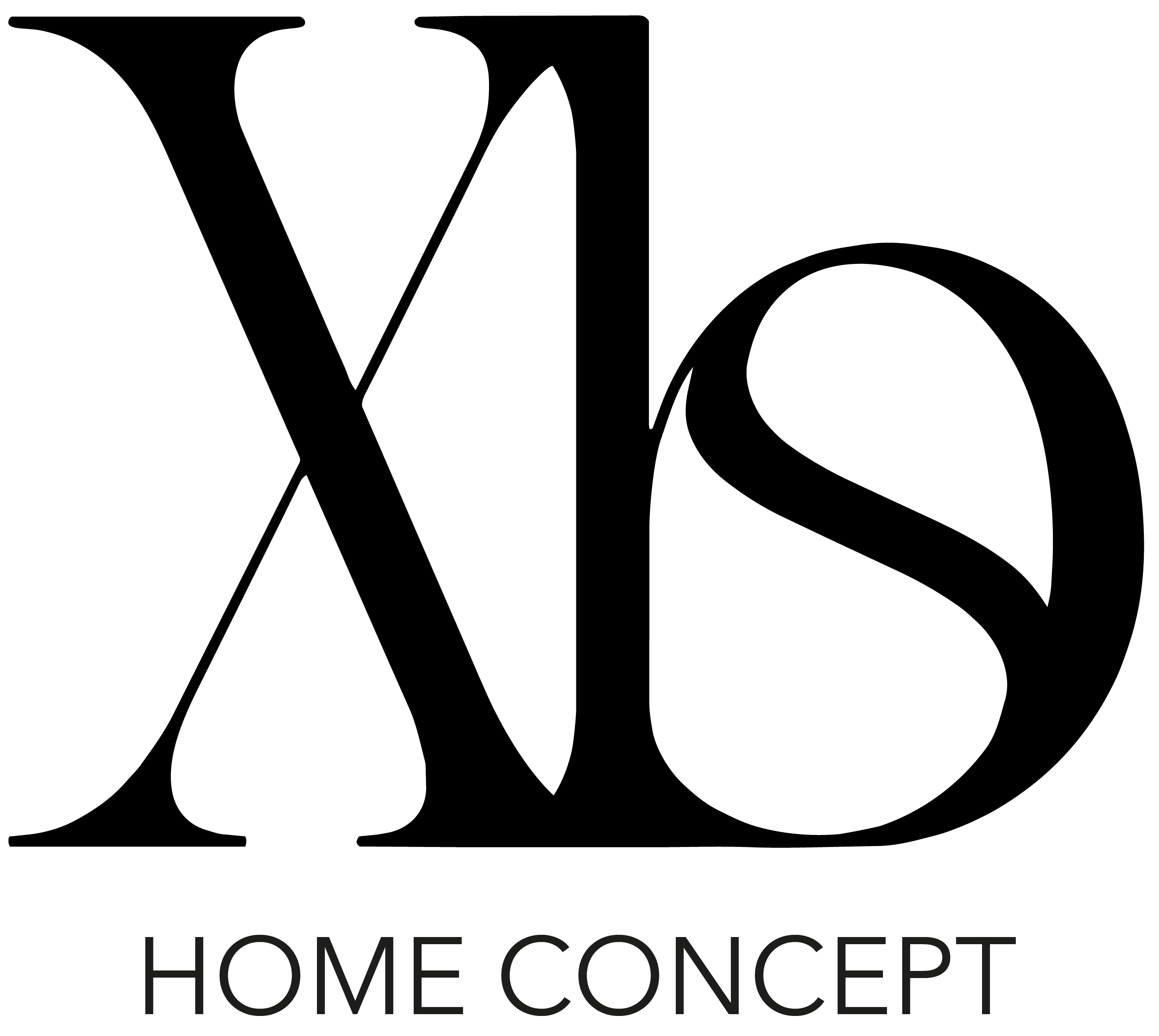 XBS Home logo